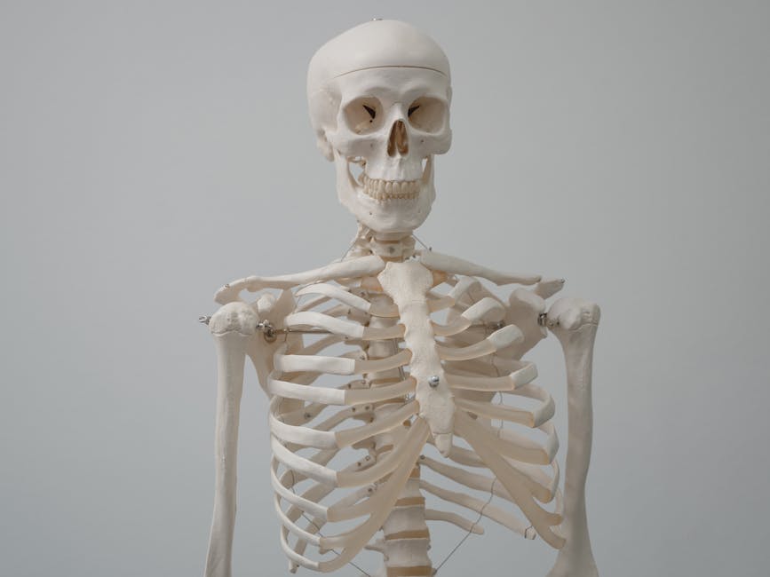 Is a rowing machine good for osteoporosis