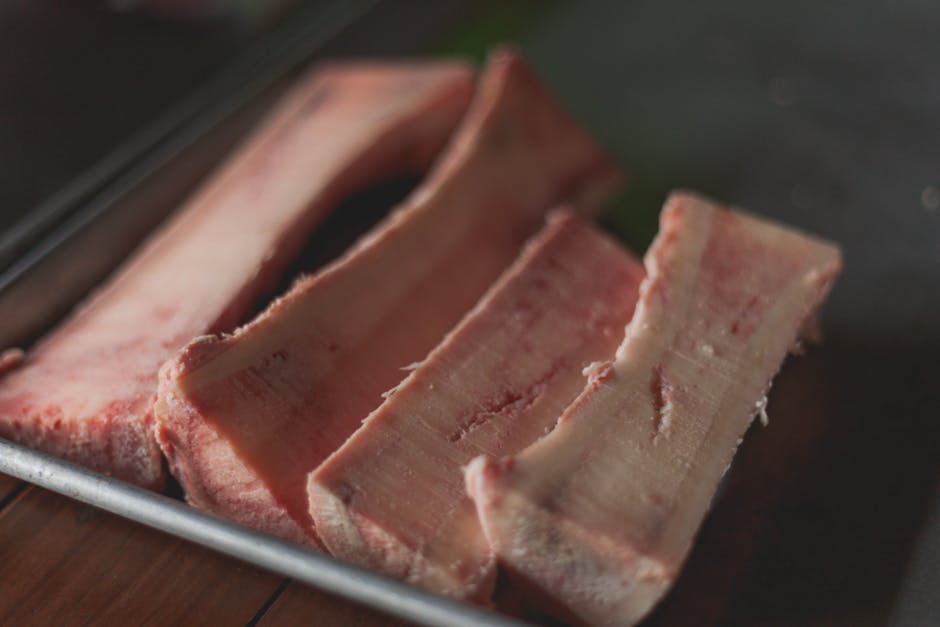 Red bone marrow