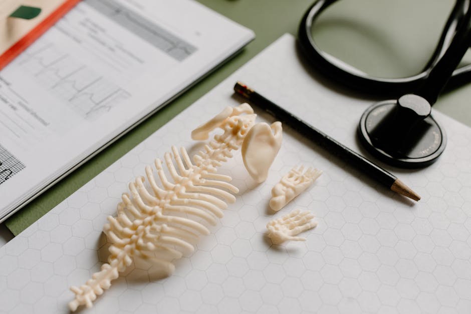 What bones produce blood cells