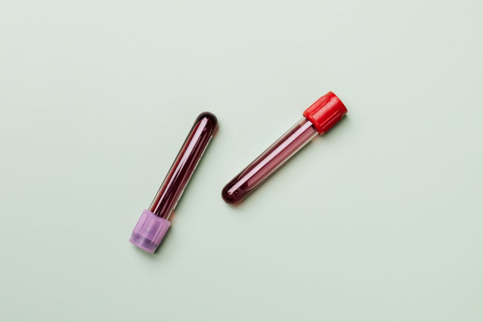 What does red marrow do
